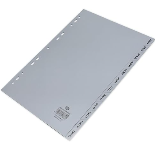 FIS PP JAN-DEC GREY DIVIDER A4 (FSDVJAN-DEC) 
